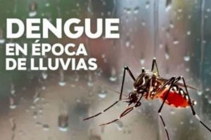 93726-salud-insta-a-reforzar-los-cuidados-para-la-prevencion-del-dengue