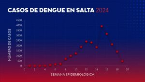 95620-se-confirmaron-mas-de-470-casos-de-dengue-en-la-ultima-semana