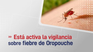 96985-el-ministerio-de-salud-publica-activo-la-vigilancia-sobre-fiebre-de-oropouche